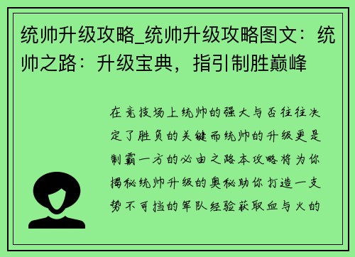 统帅升级攻略_统帅升级攻略图文：统帅之路：升级宝典，指引制胜巅峰